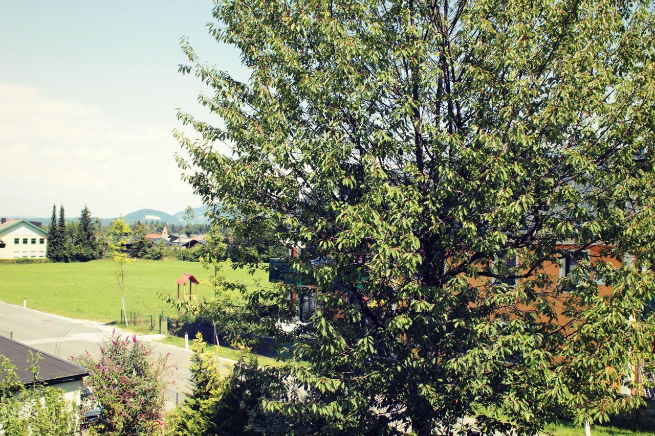 Landgasthof Fuerstenbrunn Mini-hôtel 3*